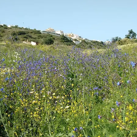 Bed & Breakfast Casa Cereja 'adults Only' *