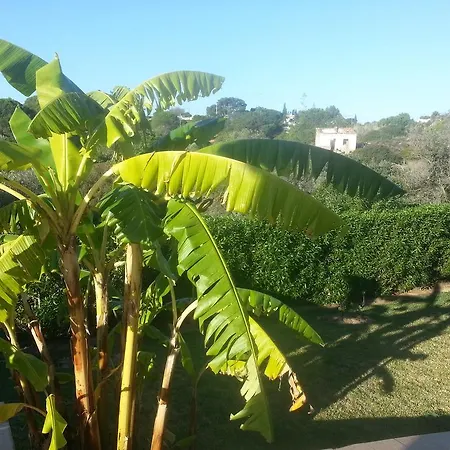 Bed & Breakfast Casa Cereja 'adults Only' *