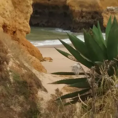 Casa Cereja 'adults Only' * Albufeira