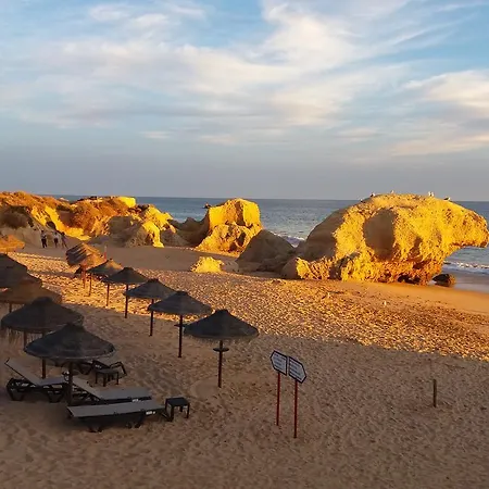 Bed & Breakfast Casa Cereja 'adults Only'