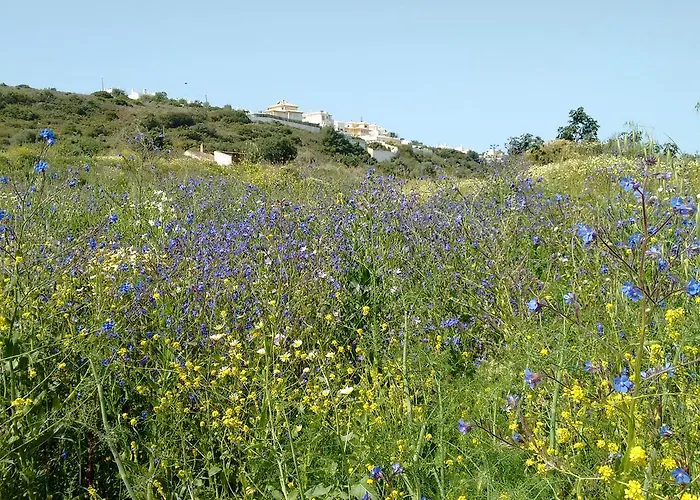 ベッド・アンド・ブレックファスト Casa Cereja 'adults Only' *