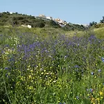 Casa Cereja 'adults Only' Bed & Breakfast Albufeira