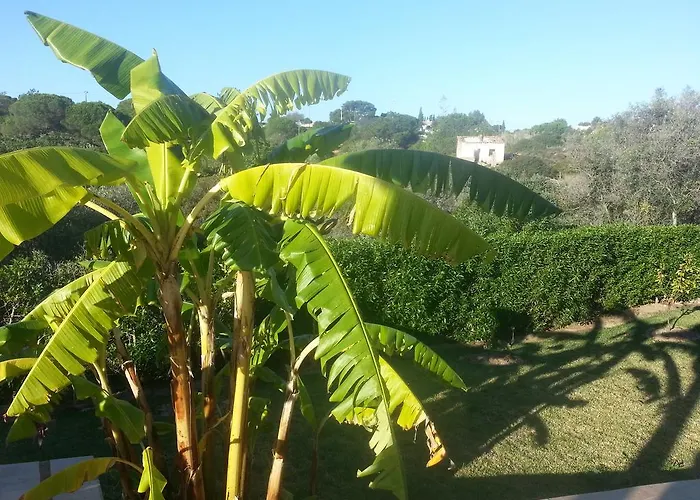 Bed and Breakfast Casa Cereja 'adults Only' *