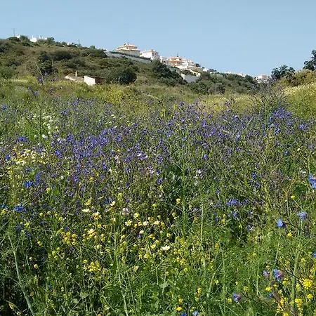 Casa Cereja 'adults Only' Bed and Breakfast Αλμπουφέιρα